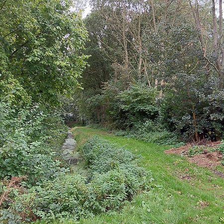 Rumah Senang Wellness Met Hottub En Tuin Ewijk Exterior foto